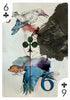 Playing Arts Playing Cards - Zero - 52 Wonders Playing Cards Spielkarten Bicycle Fontaine Anyone Orbit Butterfly